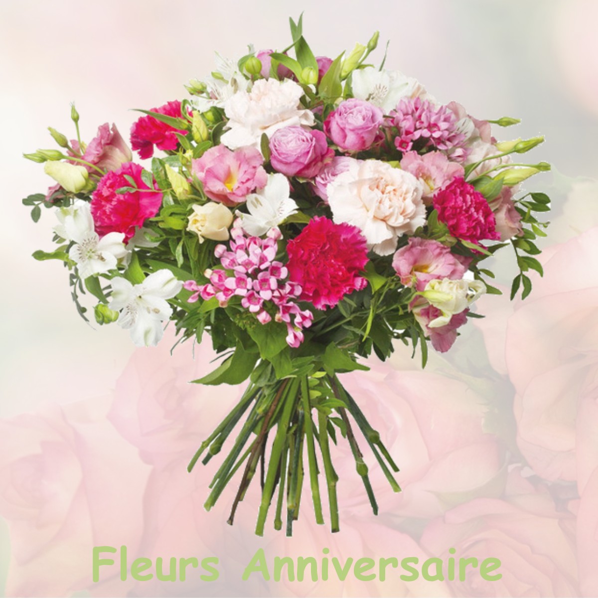 fleurs anniversaire LA-SELVE